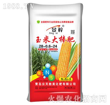 ���״����-����-�������