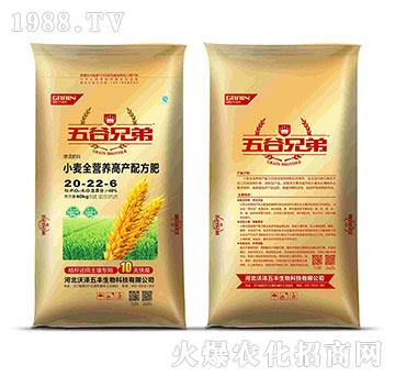 ȫ�I(y��ng)�B(y��ng)С��һ�η�-�֝����S