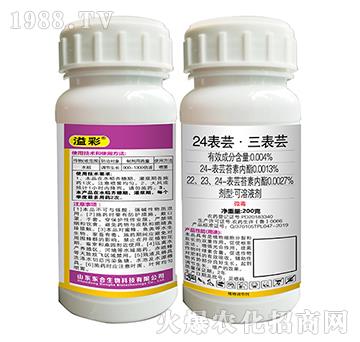 24���|�������|-���-�|������