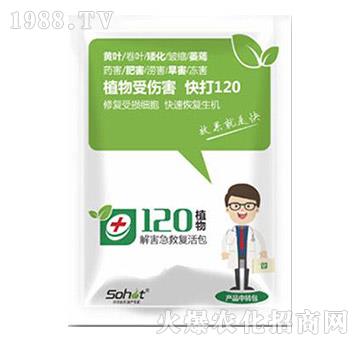 �⺦���ȏ�(f��)���-ֲ��120-���A����