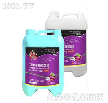 ���팣�������ʣ�500g��-�����-���A����(l��)