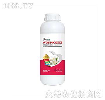 ��ؐ��(r��n)-�f�ݿ�