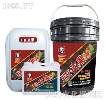 ���������-�~��������-������