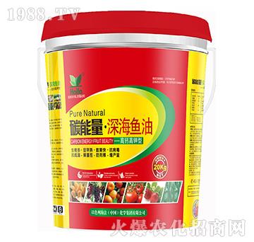 ���}�����-̼��������~(y��)��-����