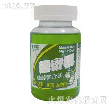 �Ǵ������V-�����V-��