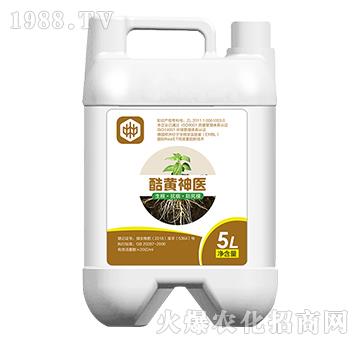 ���S���t(y��)�������������ã�-��ֲ(li��n)��