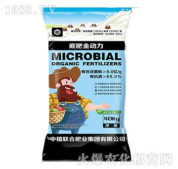 �׷ʽ�����-��ֲ(li��n)��