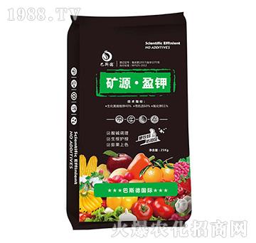 �VԴ��ӯ�-��˹��