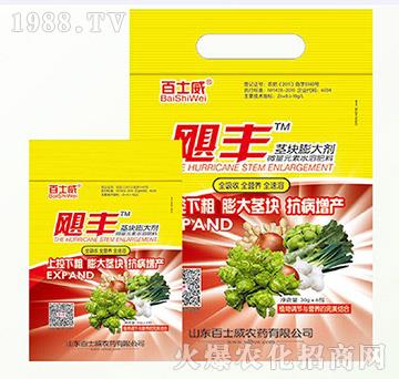 �K�o���-�Z�L-��ʿ��