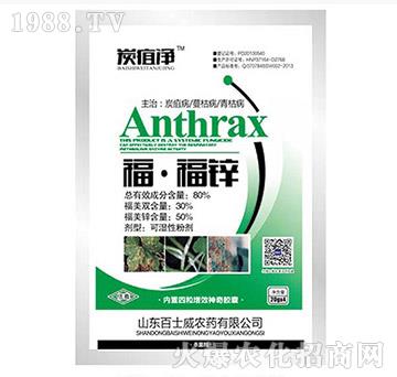 80%�������\-��ʿ��