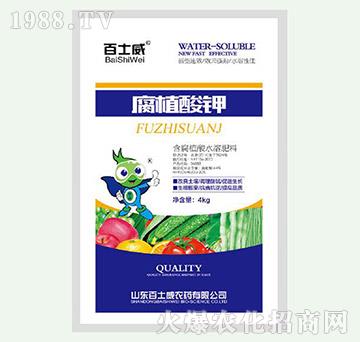 ��ֲ���-��ʿ��