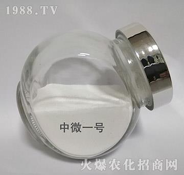 ��΢1̖(h��o)