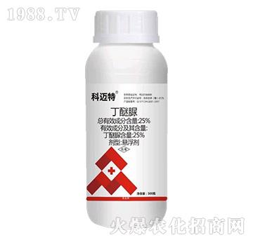 25%������-���~��-�J������