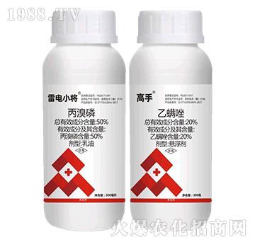 50%������+20%������-���С��+�������b-�J������