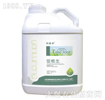 �ٸ���-�G���S-���_����