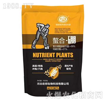 ���ϡ���-�ֺ��