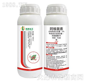 5%���S����-���N����