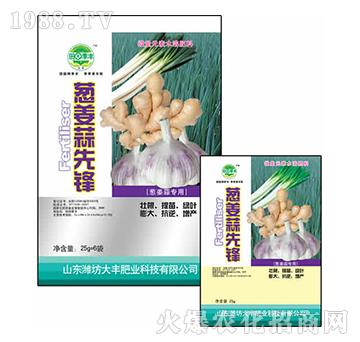 25g�[�������h-��@