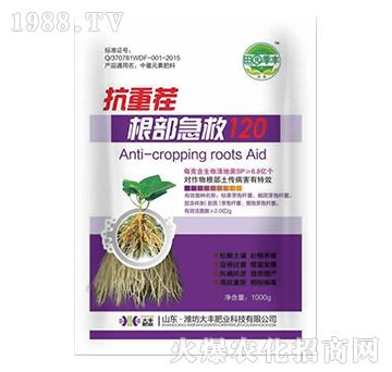 ���ز��������120-