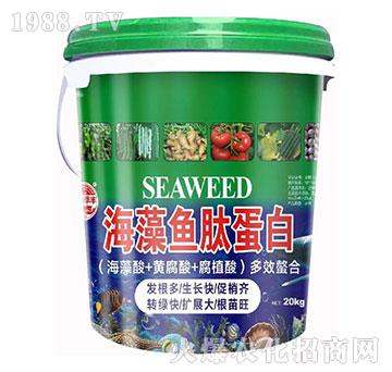 �����~�ĵ���-��@���S