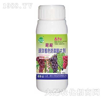 ������Ч��ɫ��������