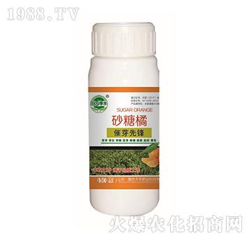 ɰ���ٴ�ѿ���h-��@��