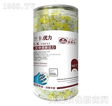 ����΢��(d��ng)��-�m������(y��u)