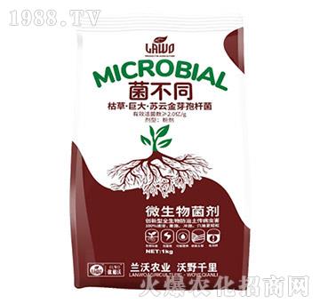 �ݲݡ��޴��K�ƽ�ѿ��