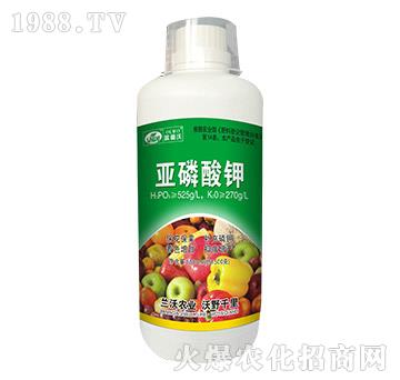 1000ml�������-