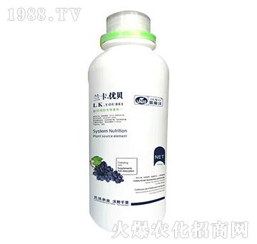 ����õ��������-�m��