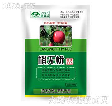 350g�ҟo�n-�W�m��