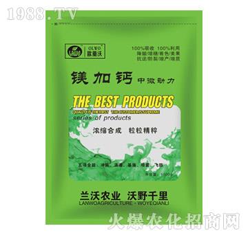 �V���}��΢��(d��ng)��-�W�m��