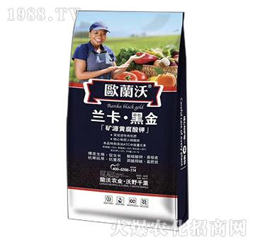 �VԴ�S�����-�m������