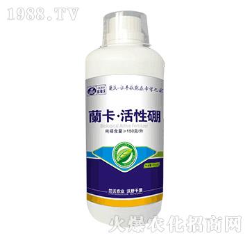 1000g�_����������