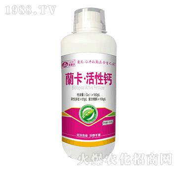 1000g�_���������}