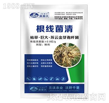 �ݲݡ��޴��K�ƽ�ѿ��