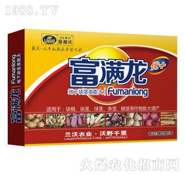 ���K�o�����-���M