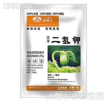 �m�������-�m���r(n��ng)�I(y��)