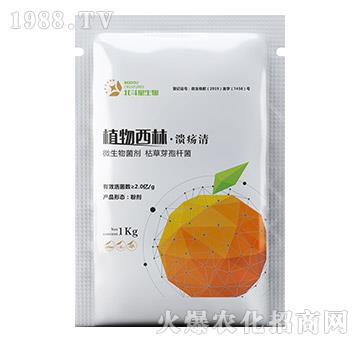 ֲ�����֡�������-������