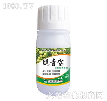 ����Ó������Ó����-���䌍�I(y��)