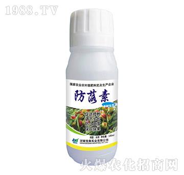 ���䌣��-������-���䌍�I(y��)