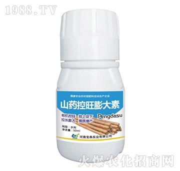 ɽˎ���������-���䌍�I(y��)