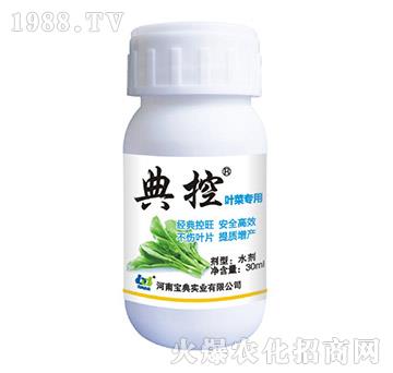 �~�ˌ���-���-���䌍�I(y��)