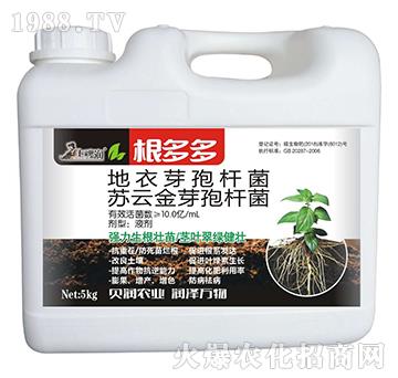 �����-�߲�ؐ��(r��n)-��ķ�_(d��)