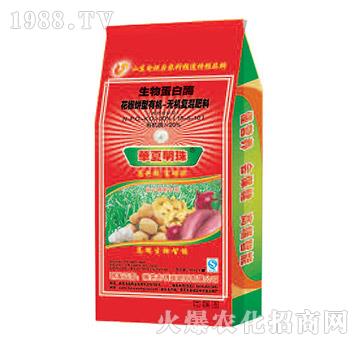 ���ﵰ��ø-������͏ͻ����-�������