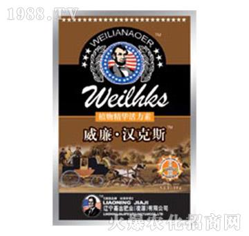 ֲ�ﾫ�A������-������