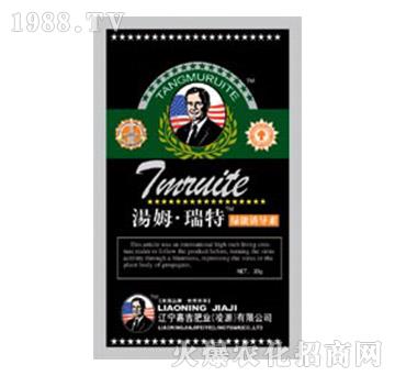 �G���T��(d��o)��-��ķ������