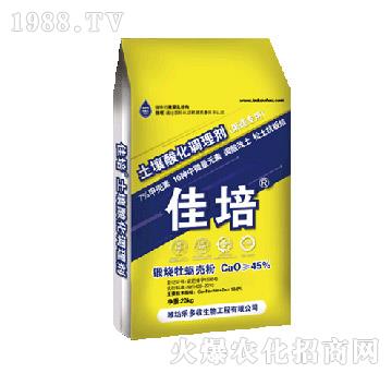 �����ữ�{�턩-����-������