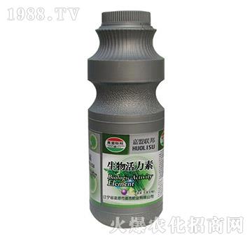 �²��۲ˌ������������