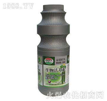 �S�ό������������-��